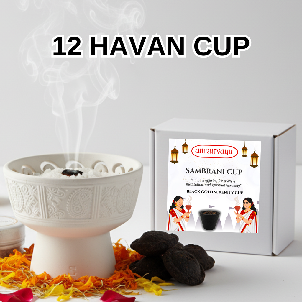 Charcoal Based  Sambrani Havan Cups with Loban